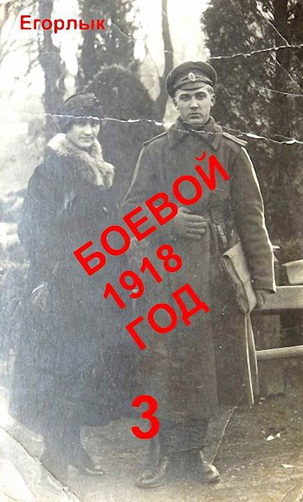 Боевой 1918 год-3 (fb2)