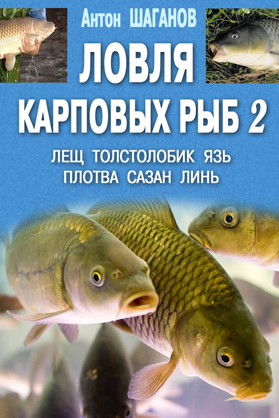 Ловля карповых рыб – 2 (fb2)