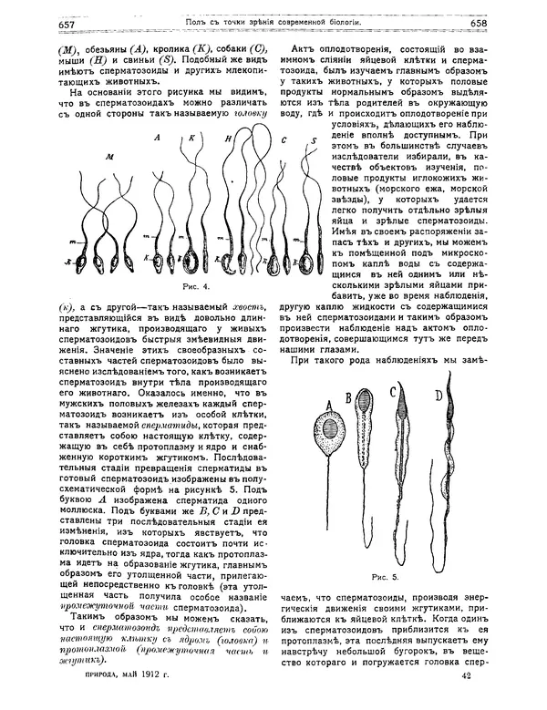 КулЛиб.   журнал Природа - Природа 1912 №05. Страница № 35
