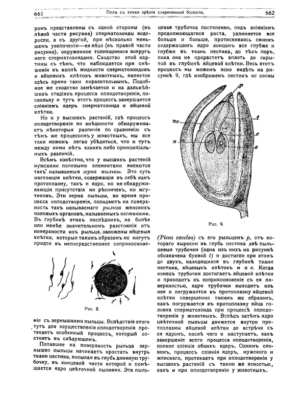 КулЛиб.   журнал Природа - Природа 1912 №05. Страница № 37