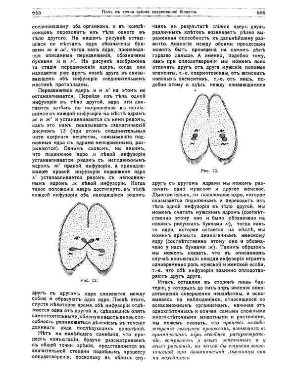 КулЛиб.   журнал Природа - Природа 1912 №05. Страница № 39