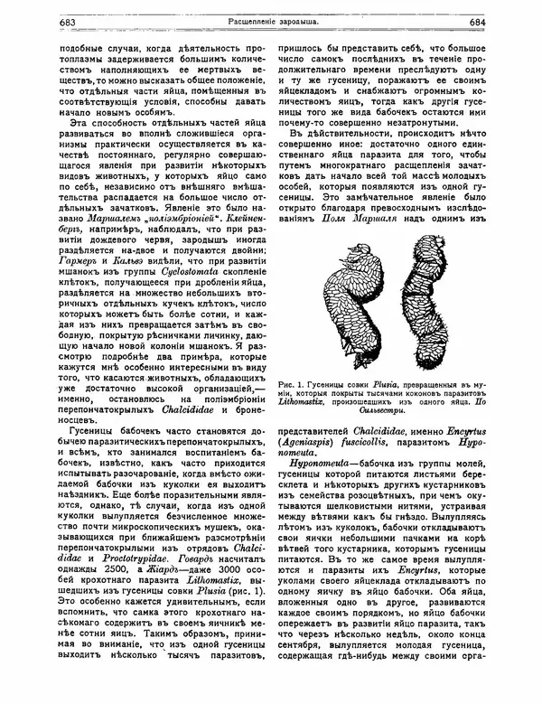 КулЛиб.   журнал Природа - Природа 1912 №05. Страница № 48