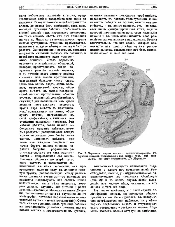 КулЛиб.   журнал Природа - Природа 1912 №05. Страница № 49