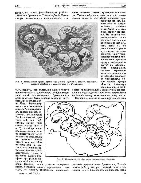КулЛиб.   журнал Природа - Природа 1912 №05. Страница № 51