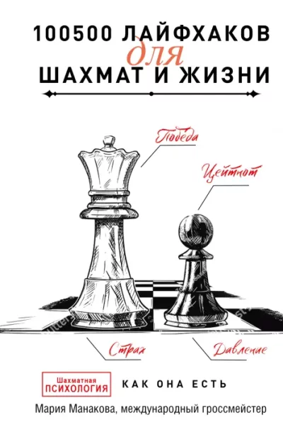 100500 лайфхаков для шахмат и жизни (epub)