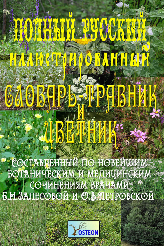 Полный иллюстрированный словарь-травник и цветник (fb2)