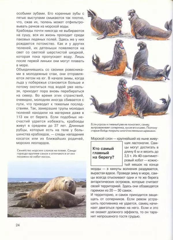 КулЛиб. Иоахим  Маллвиц - Арктика и Антарктика. Страница № 24