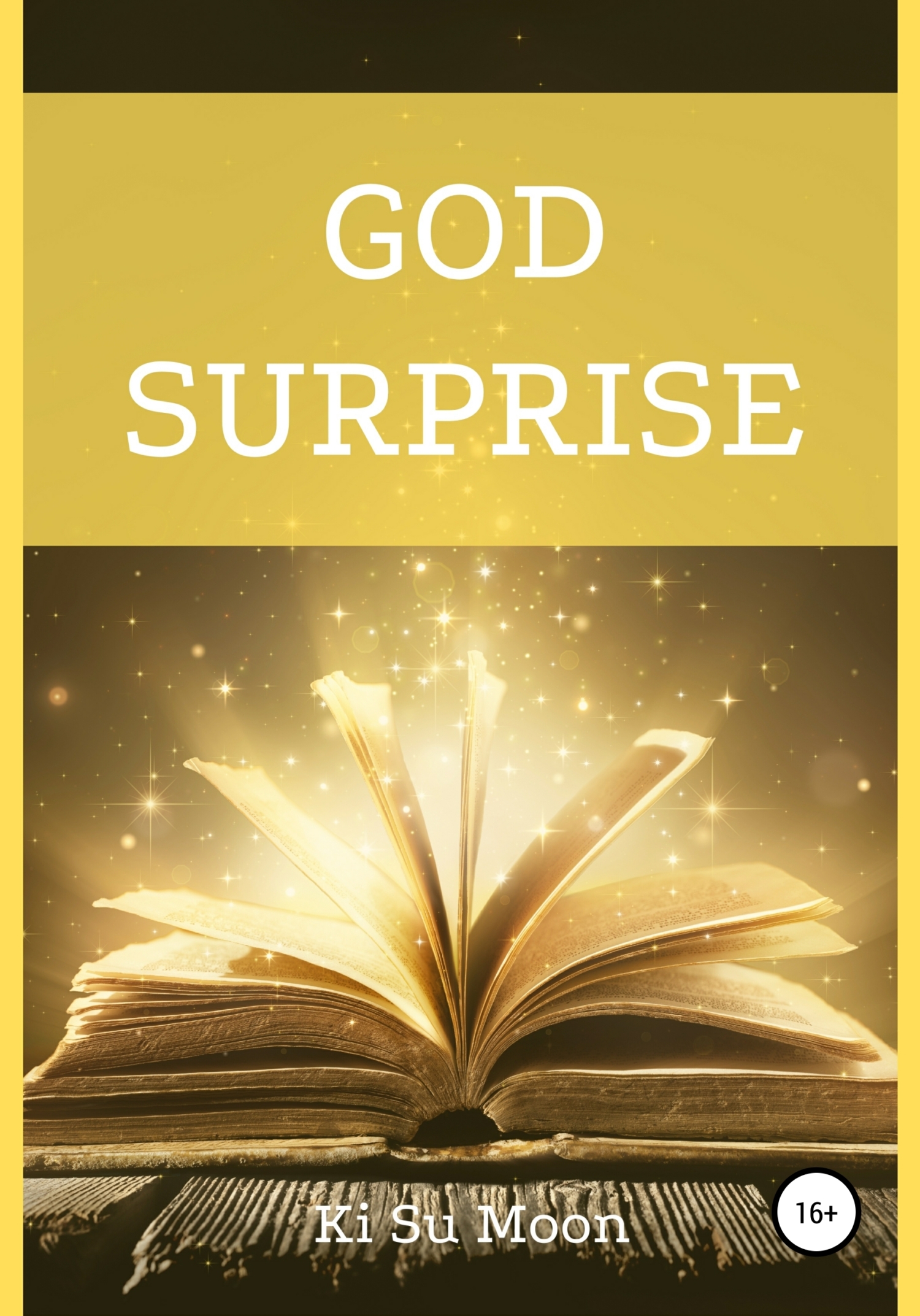 God Surprise (fb2)