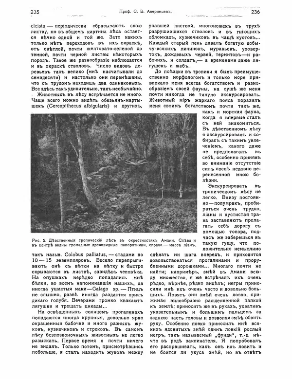 КулЛиб.   журнал Природа - Природа 1912 №02. Страница № 48