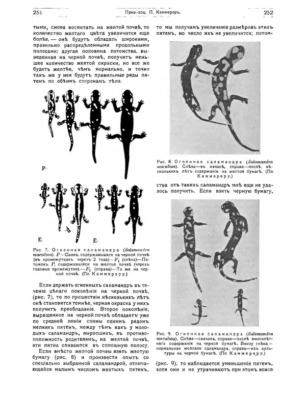 КулЛиб.   журнал Природа - Природа 1912 №02. Страница № 56