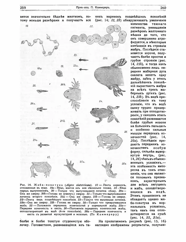 КулЛиб.   журнал Природа - Природа 1912 №02. Страница № 60