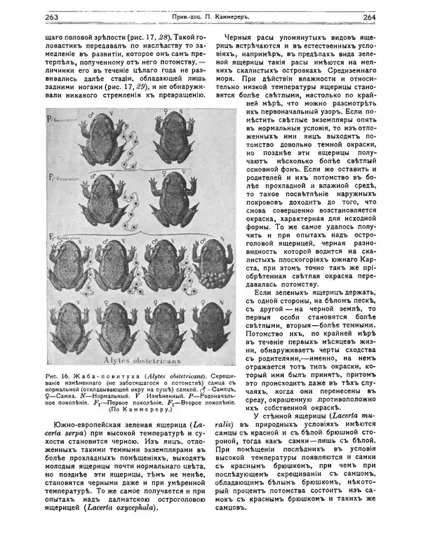 КулЛиб.   журнал Природа - Природа 1912 №02. Страница № 62