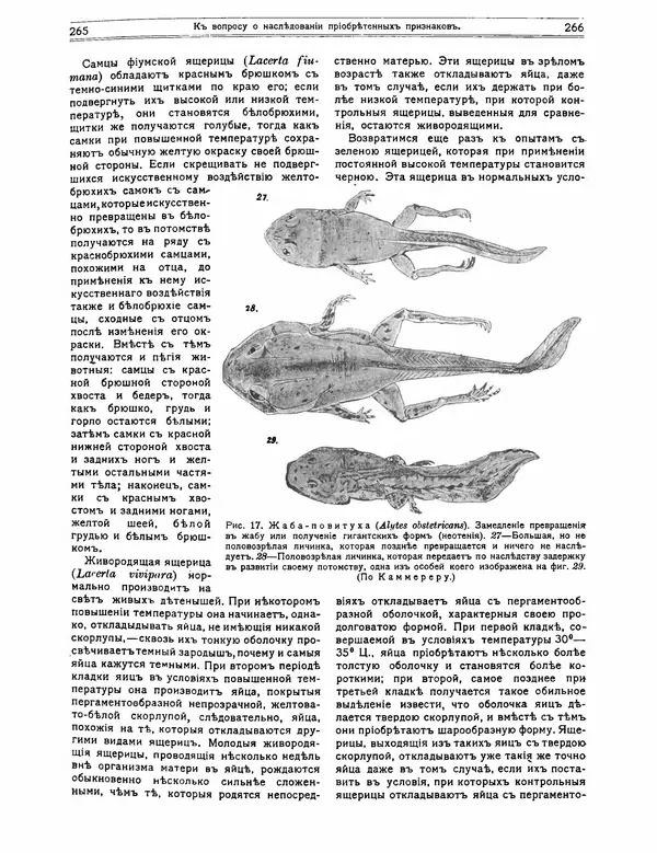 КулЛиб.   журнал Природа - Природа 1912 №02. Страница № 63
