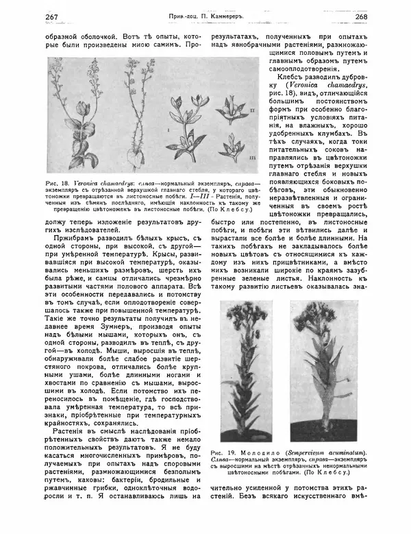 КулЛиб.   журнал Природа - Природа 1912 №02. Страница № 64