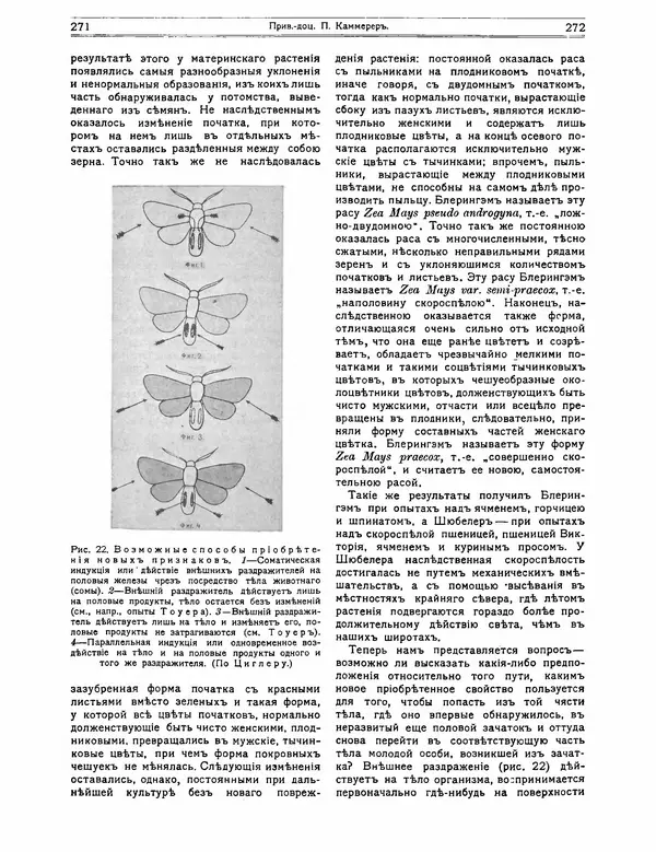 КулЛиб.   журнал Природа - Природа 1912 №02. Страница № 66