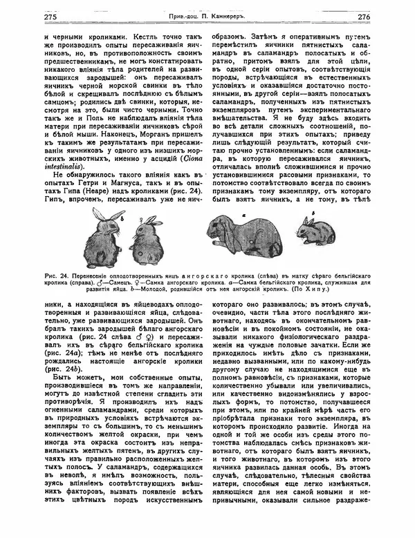 КулЛиб.   журнал Природа - Природа 1912 №02. Страница № 68