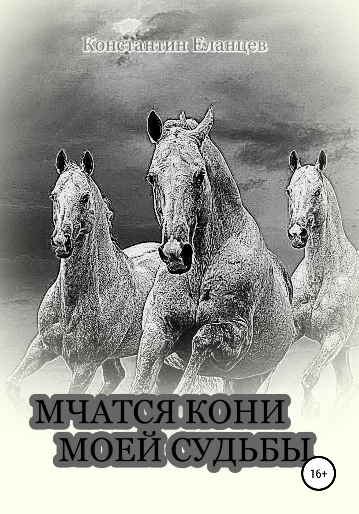 Мчатся кони моей судьбы (fb2)