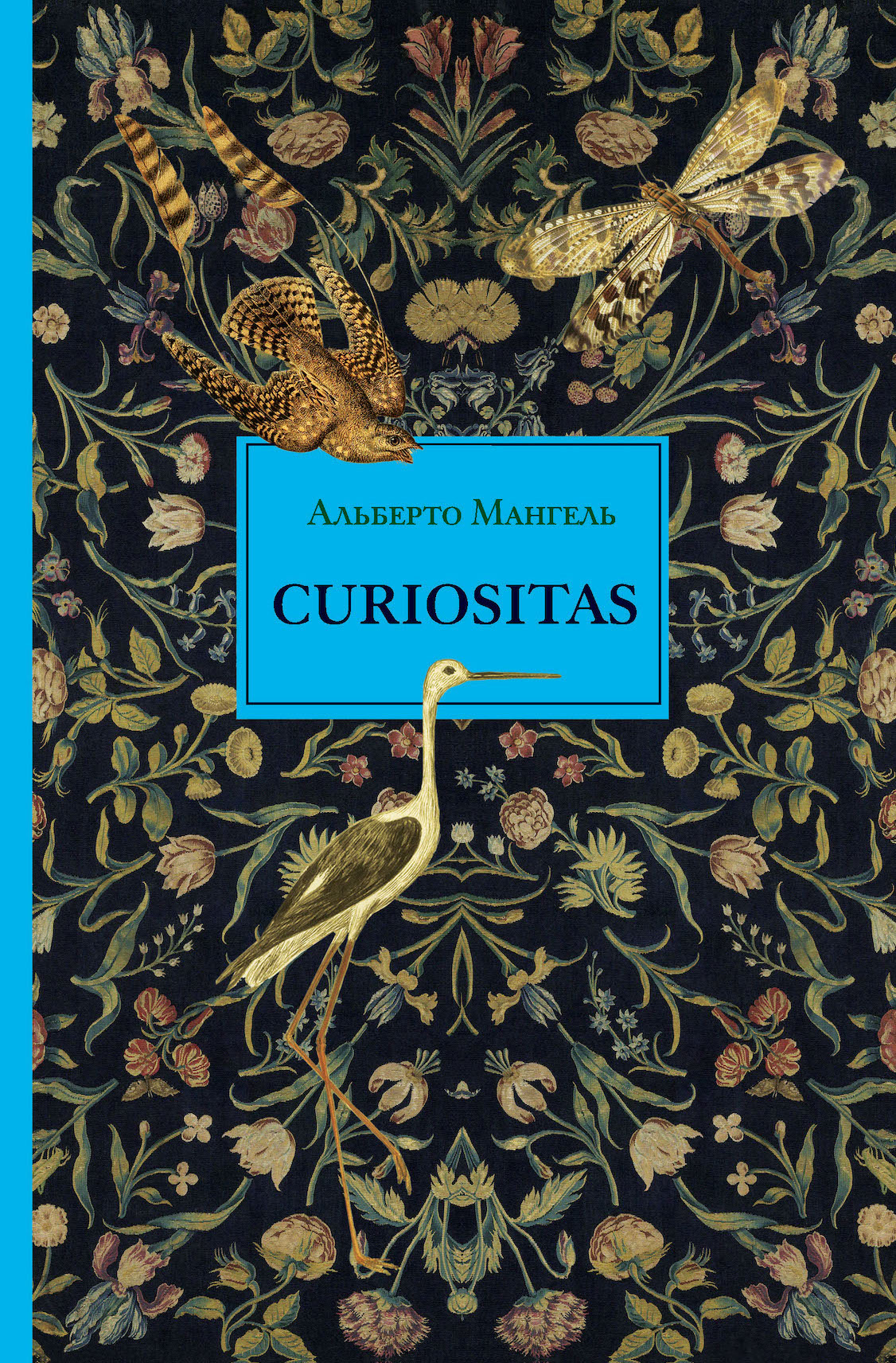 Curiositas. Любопытство (fb2)