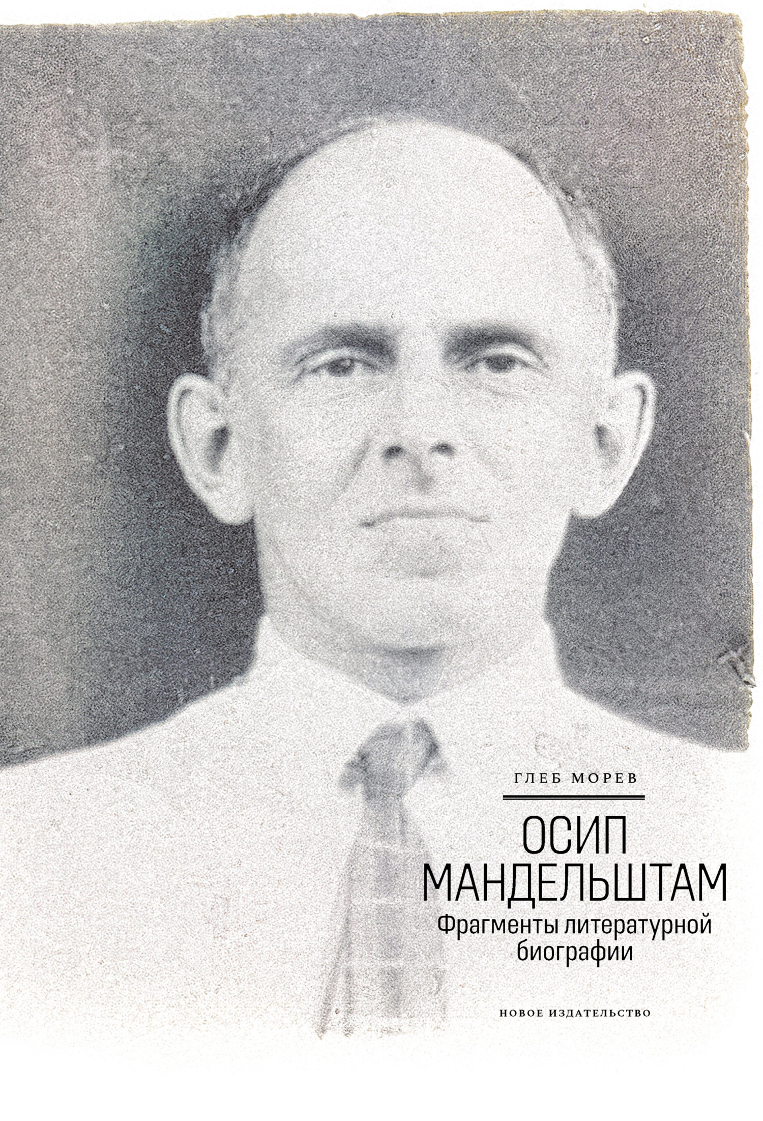 Осип Мандельштам. Фрагменты литературной биографии (1920–1930-е годы) (fb2)