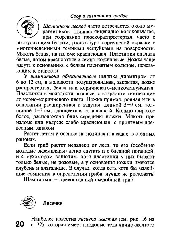 КулЛиб. И. В. Довбенко - Сбор и заготовка грибов. Страница № 20