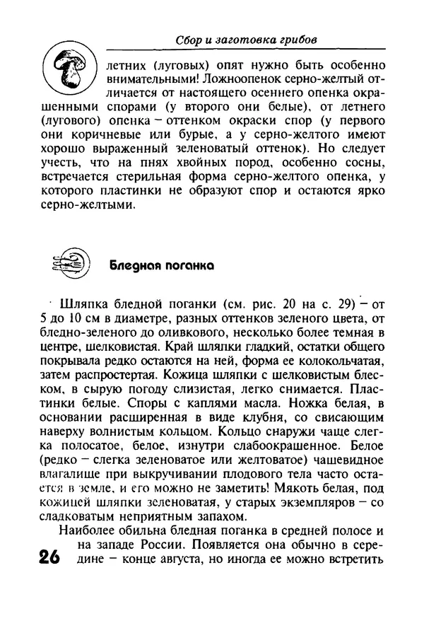 КулЛиб. И. В. Довбенко - Сбор и заготовка грибов. Страница № 26