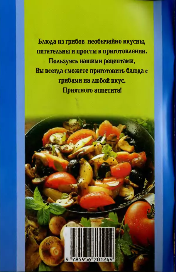 КулЛиб. Л. А. Бушуева - Самые вкусные блюда из грибов. Страница № 66