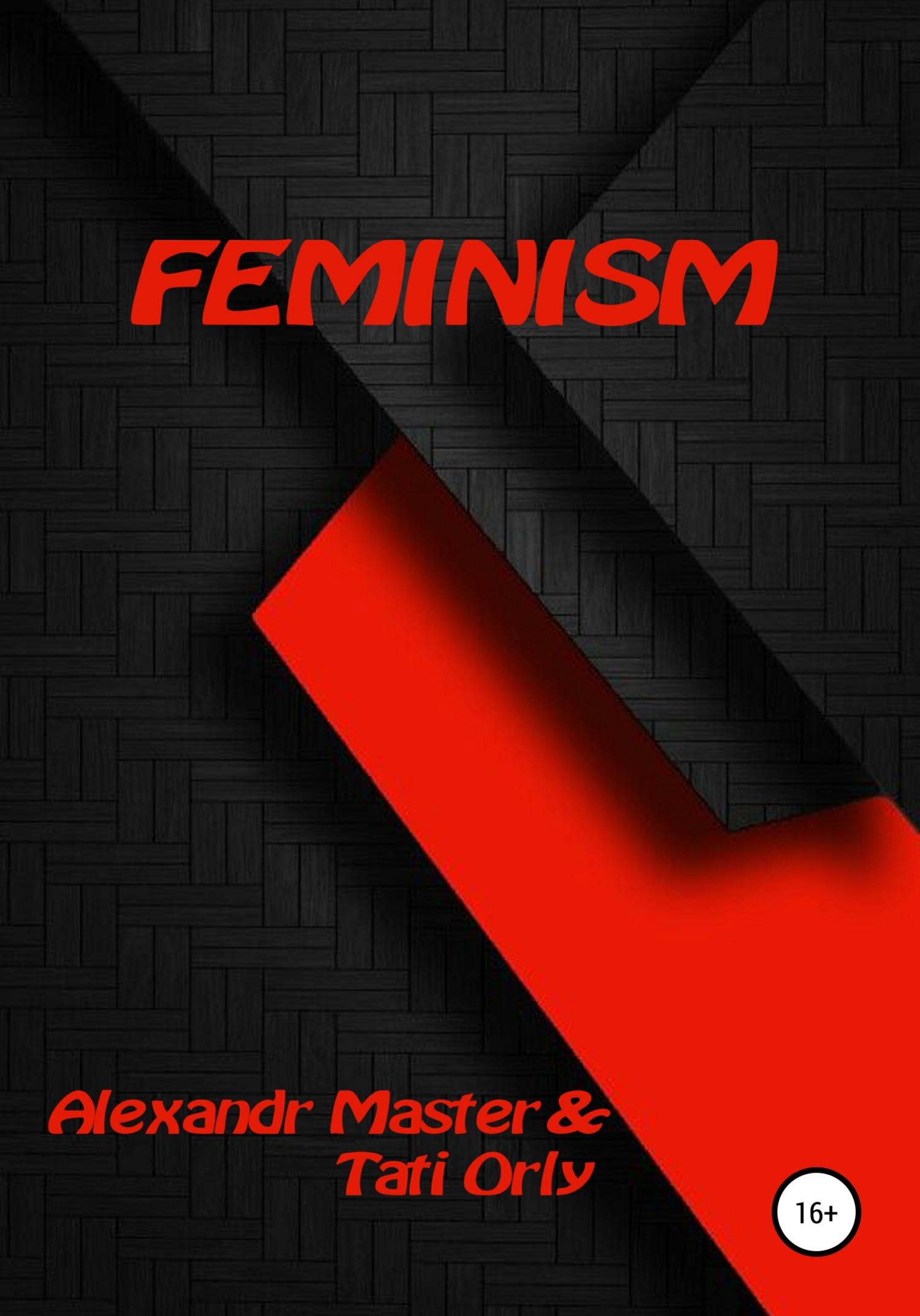 Feminism (fb2)