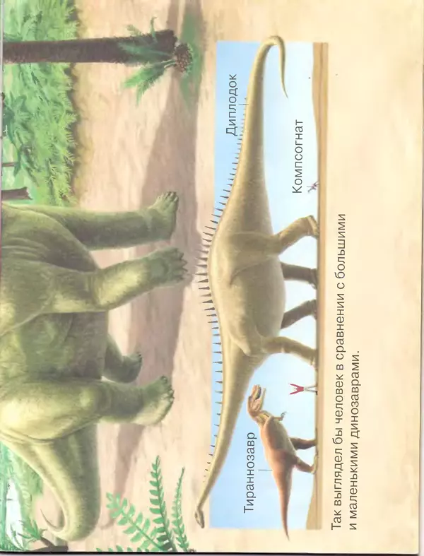КулЛиб. Стефани  Тернбул - Динозавры. Страница № 10