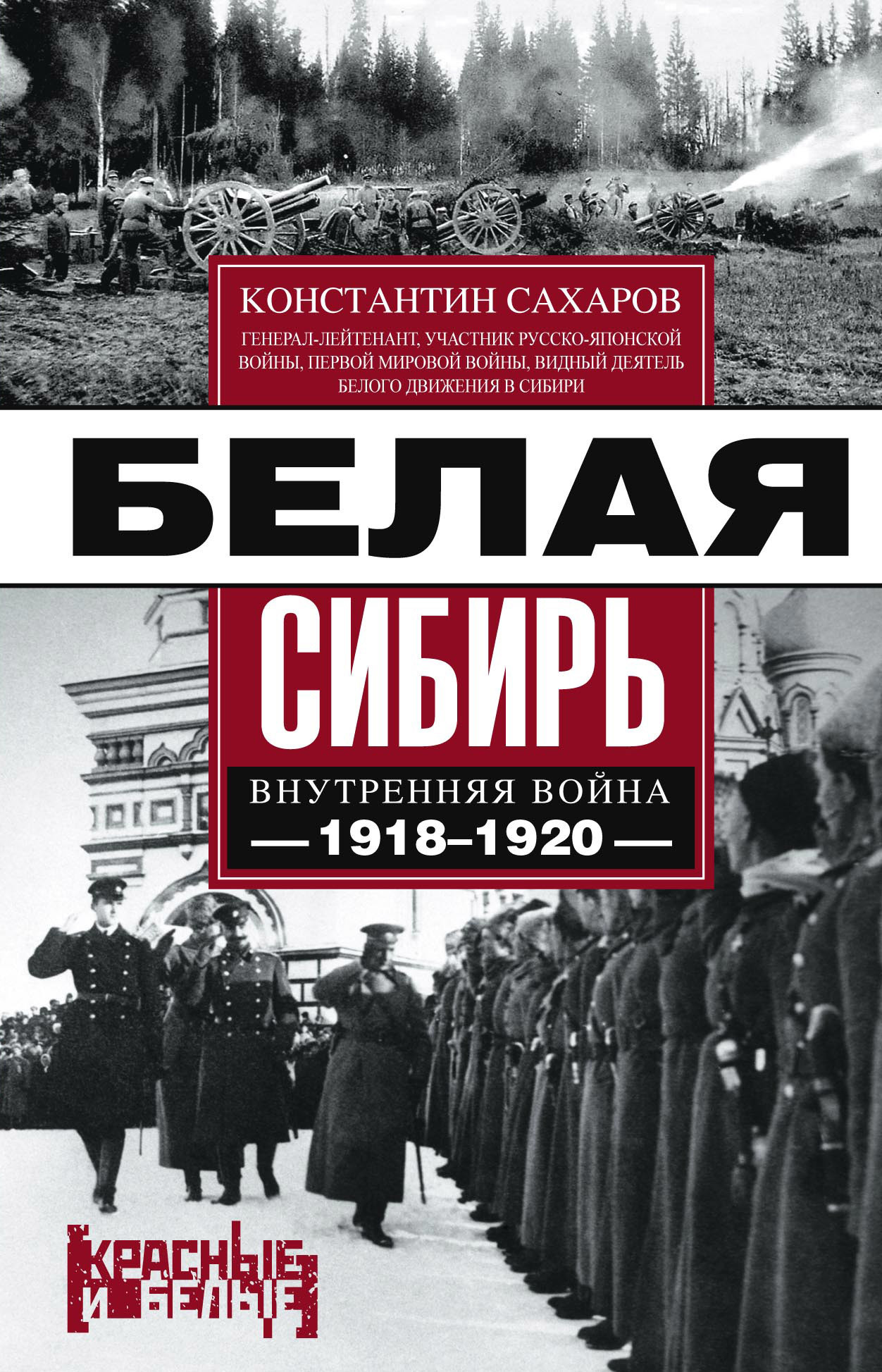 Белая Сибирь. Внутренняя война 1918-1920 гг. (fb2)
