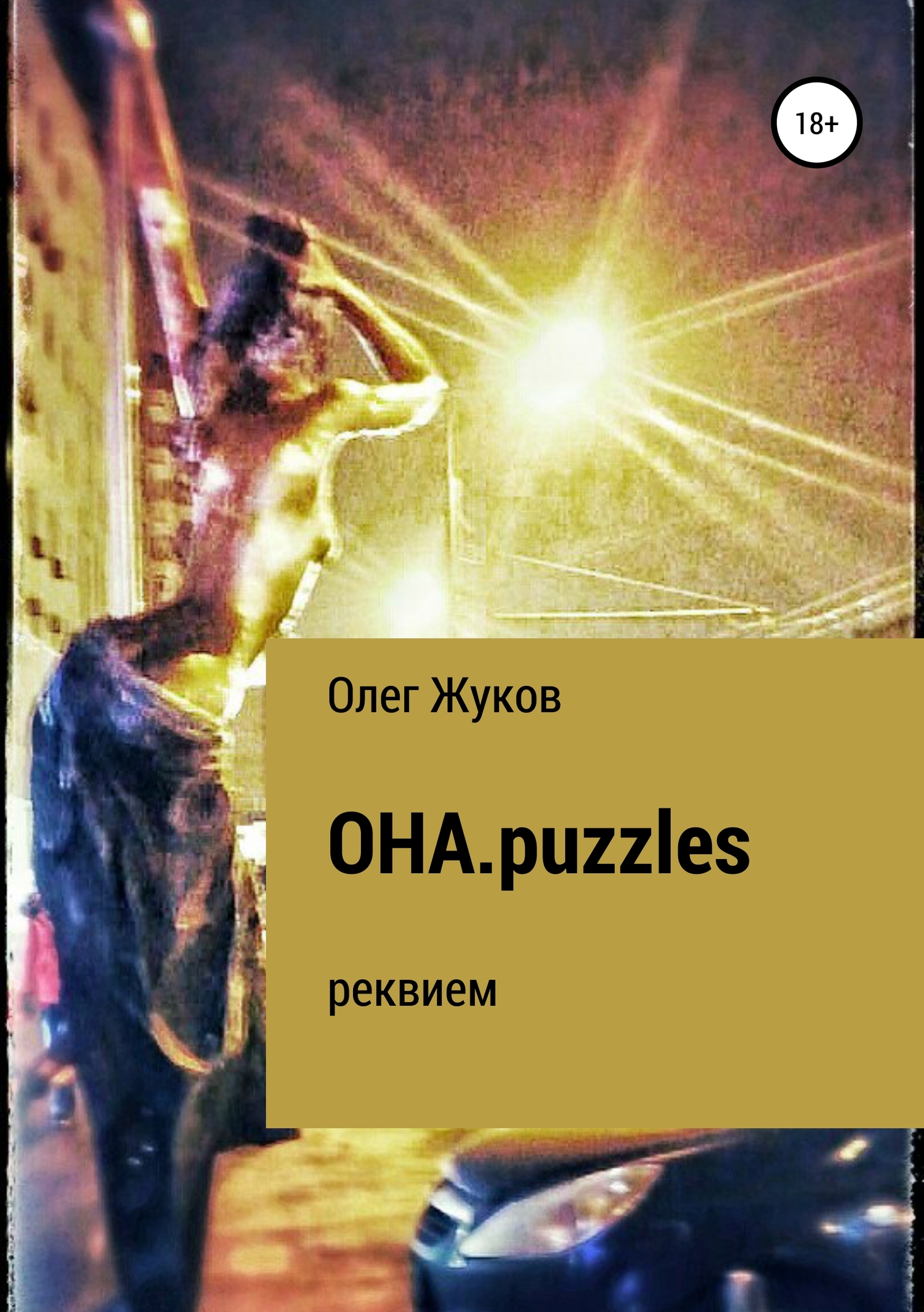 ОНА.puzzles (fb2)