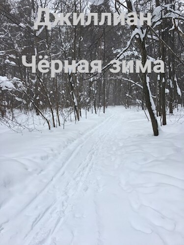 Чёрная зима (fb2)