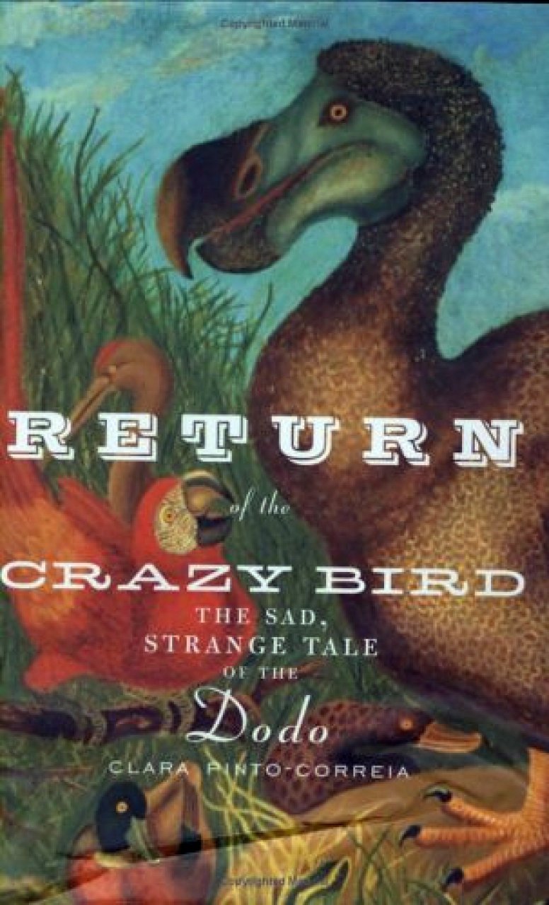 Возвращение ненормальной птицы.Печальная и странная история додо (fb2)