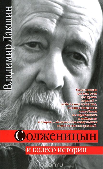 Солженицын и колесо истории (fb2)
