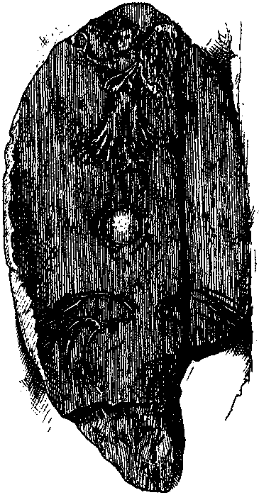 Византийская армия (IV-XII вв.). А. Банников. Иллюстрация 9
