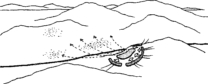 Византийская армия (IV-XII вв.). А. Банников. Иллюстрация 134