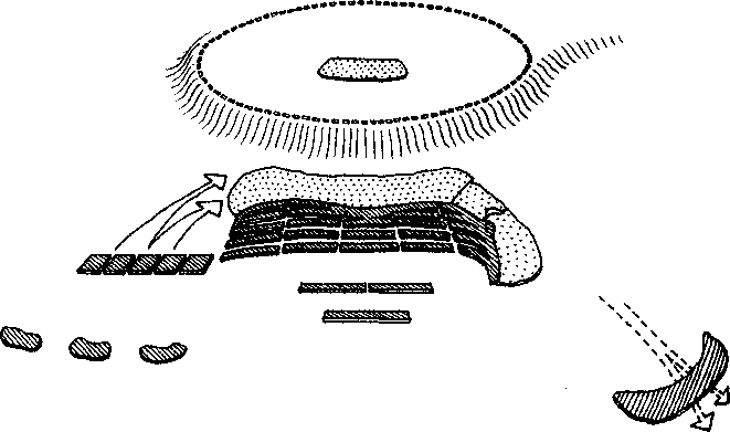 Византийская армия (IV-XII вв.). А. Банников. Иллюстрация 75