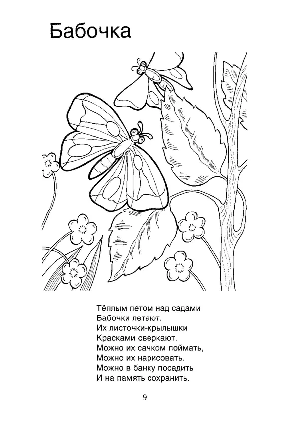 КулЛиб. В. П. Зубков - В мире животных: Книжка-раскраска. Страница № 10