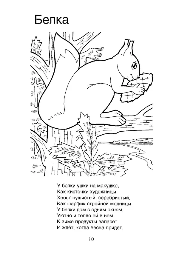 КулЛиб. В. П. Зубков - В мире животных: Книжка-раскраска. Страница № 11