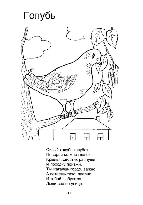 КулЛиб. В. П. Зубков - В мире животных: Книжка-раскраска. Страница № 12