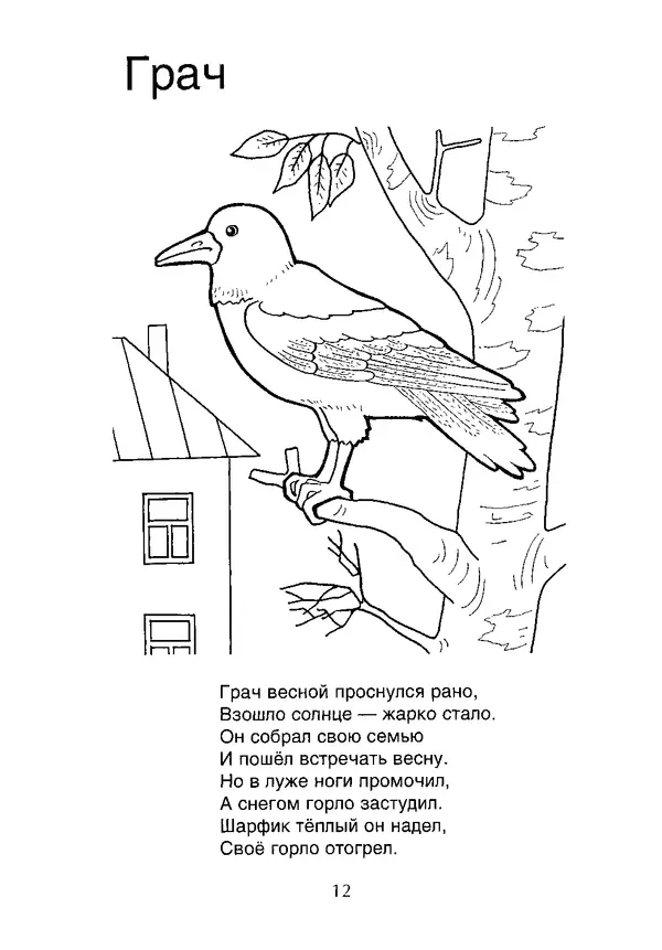 КулЛиб. В. П. Зубков - В мире животных: Книжка-раскраска. Страница № 13