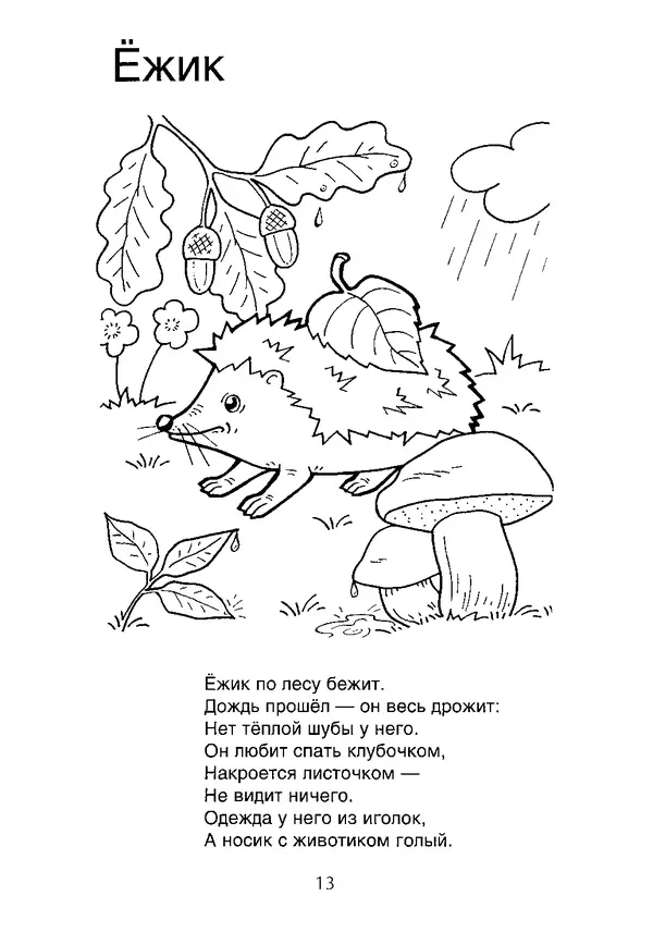 КулЛиб. В. П. Зубков - В мире животных: Книжка-раскраска. Страница № 14
