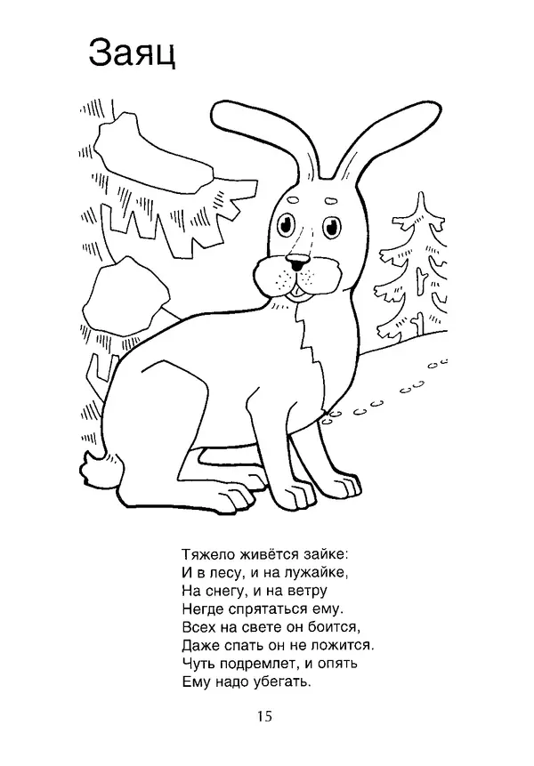 КулЛиб. В. П. Зубков - В мире животных: Книжка-раскраска. Страница № 16