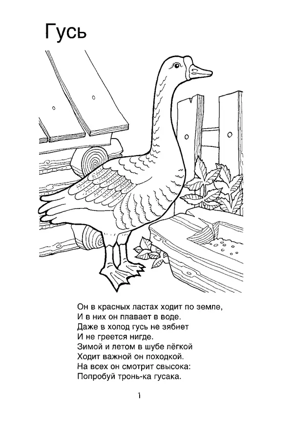 КулЛиб. В. П. Зубков - В мире животных: Книжка-раскраска. Страница № 2