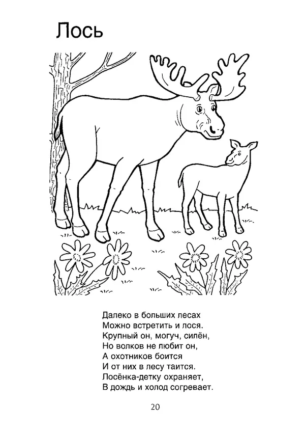 КулЛиб. В. П. Зубков - В мире животных: Книжка-раскраска. Страница № 21