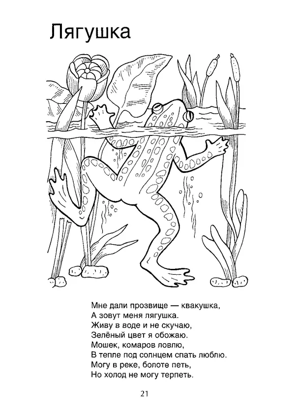 КулЛиб. В. П. Зубков - В мире животных: Книжка-раскраска. Страница № 22