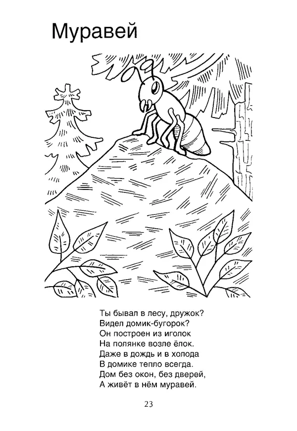КулЛиб. В. П. Зубков - В мире животных: Книжка-раскраска. Страница № 24