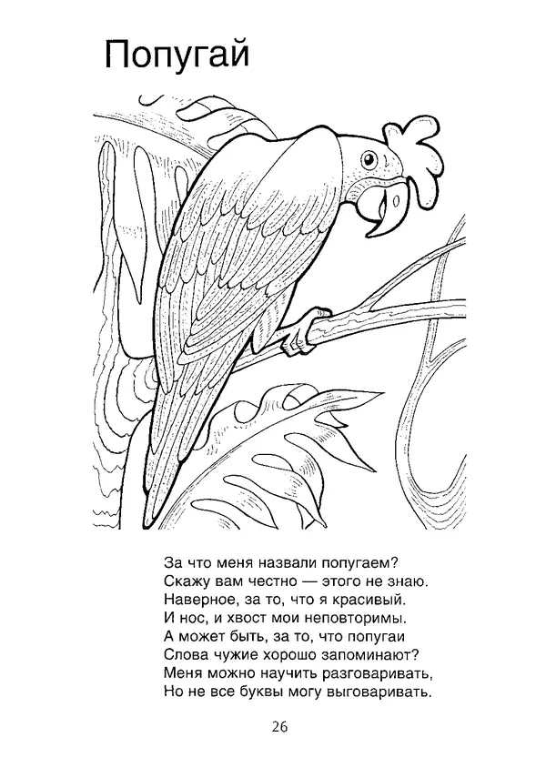 КулЛиб. В. П. Зубков - В мире животных: Книжка-раскраска. Страница № 27