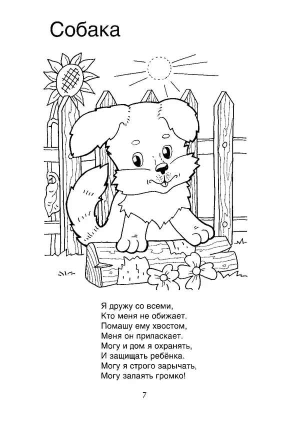 КулЛиб. В. П. Зубков - В мире животных: Книжка-раскраска. Страница № 8