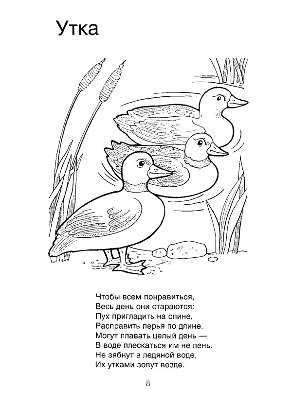 КулЛиб. В. П. Зубков - В мире животных: Книжка-раскраска. Страница № 9