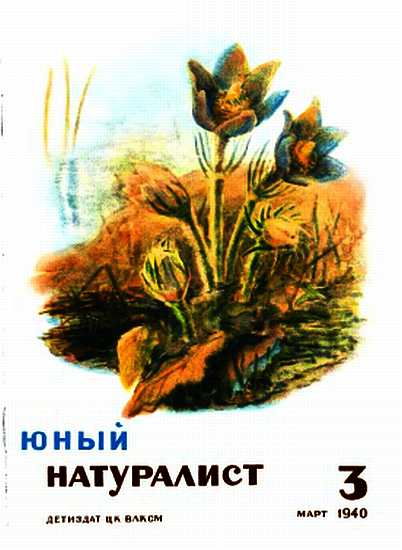 Юный натуралист 1940 №3 (fb2)